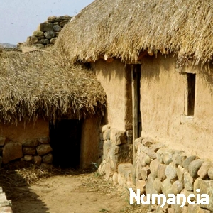 Numancia - Garray (SO)