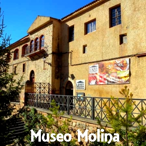 Museo de Molina de Aragón (GU)